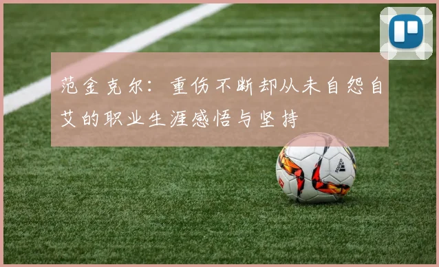 范金克尔：重伤不断却从未自怨自艾的职业生涯感悟与坚持