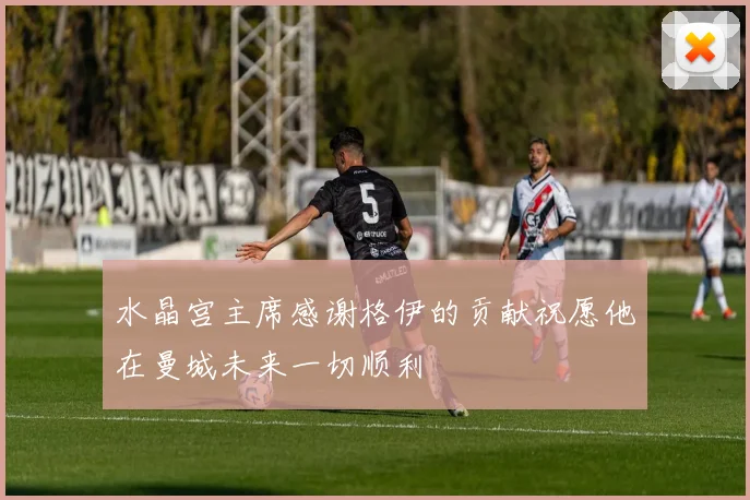 水晶宫主席感谢格伊的贡献祝愿他在曼城未来一切顺利